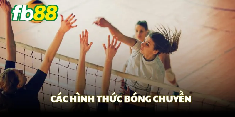 Các hình thức bóng chuyền Fb88 phổ biến bạn có thể tham khảo